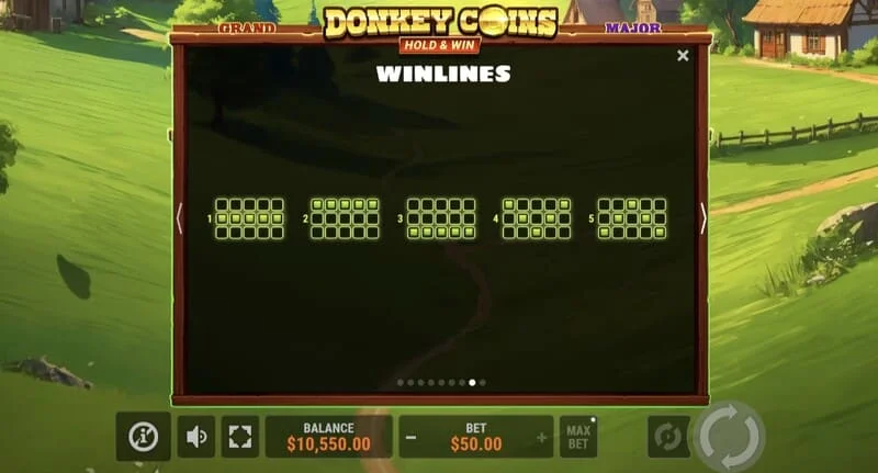 Donkey Coins Hold & Win – Großer Gewinn im Spezialmodus